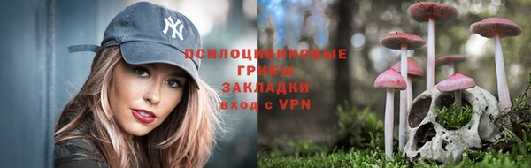 хмурый Алексин