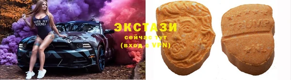 хмурый Алексин
