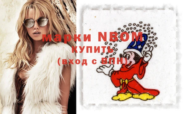хмурый Алексин