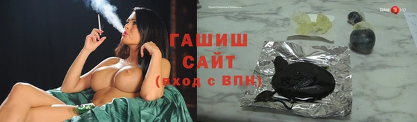 хмурый Алексин