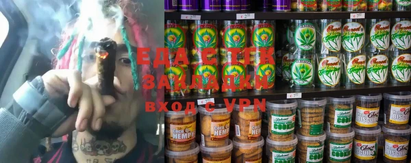хмурый Алексин