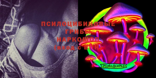 хмурый Алексин