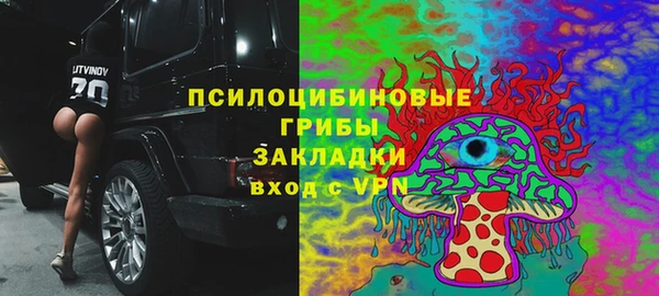 хмурый Алексин