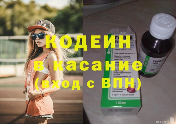 хмурый Алексин
